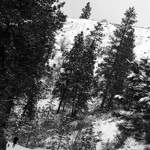 Meet your Posher, Crysta